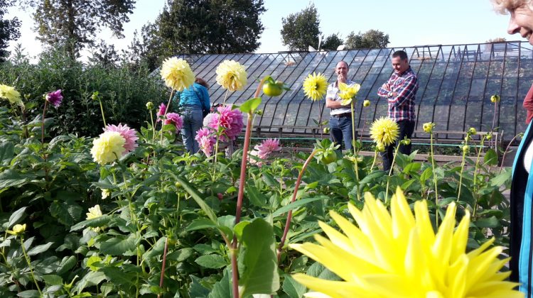 Vrijwilligersdag 2017