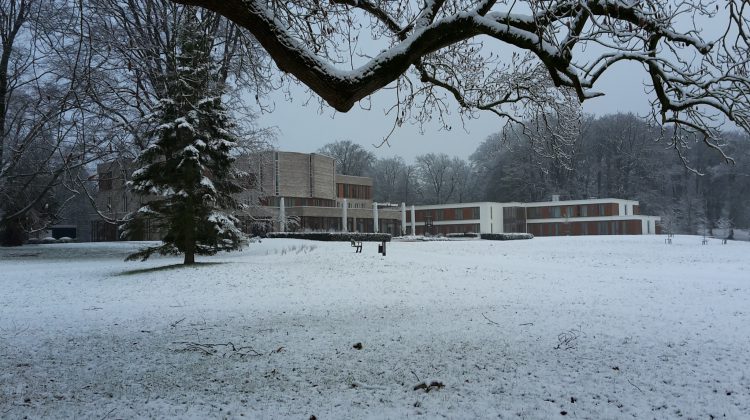 Wondere witte wereld