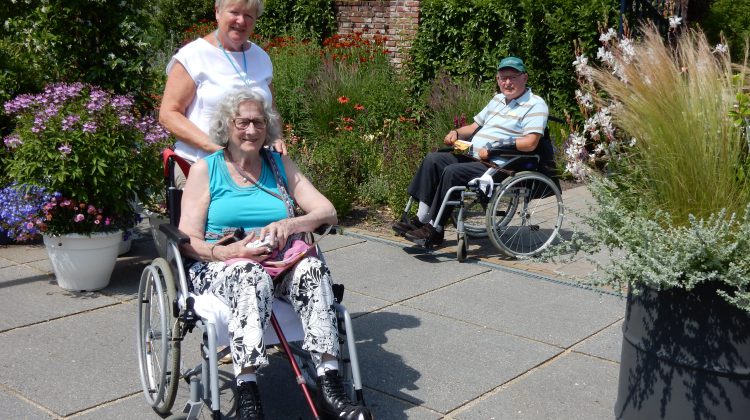 Zomerweken 2020